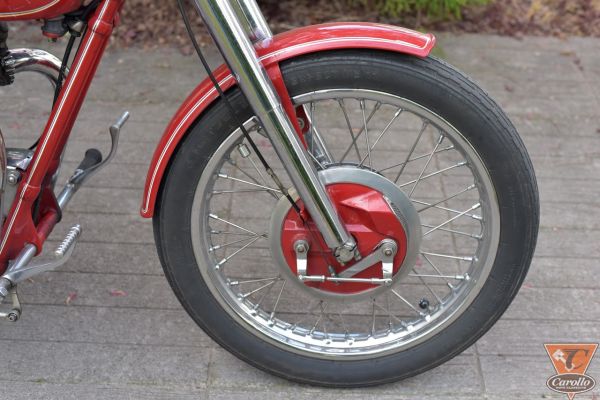 triumph-tiger-152EEC2CAC-37C0-BDA4-9C96-23C7969EEF2F.jpg