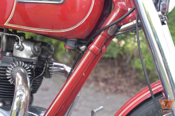 triumph-tiger-189EF0CBB5-8197-A2E2-A6B2-0E22C43D6BFD.jpg