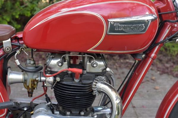 triumph-tiger-2409144D8-C381-7F32-EAFB-33FB1958F1A3.jpg