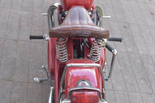 triumph-tiger-48904CAE1-7F28-EA1B-1831-344872B7DAD7.jpg